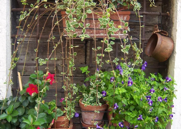 Corte Barbieri Couette-café Dolcè