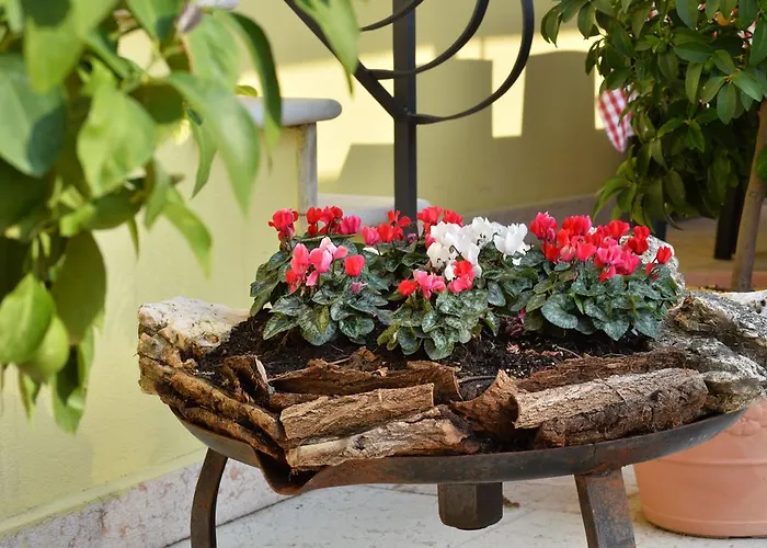 Corte Barbieri Couette-café 4*