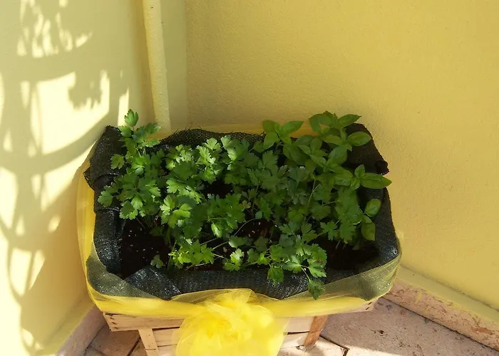 Corte Barbieri Dolcè