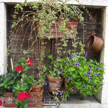 Corte Barbieri Nocleg ze śniadaniem Dolcè