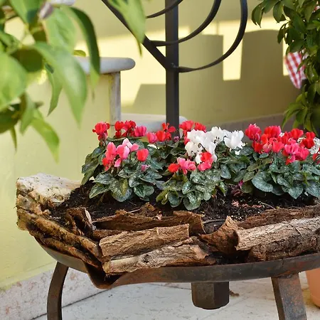 Corte Barbieri Nocleg ze śniadaniem 4*